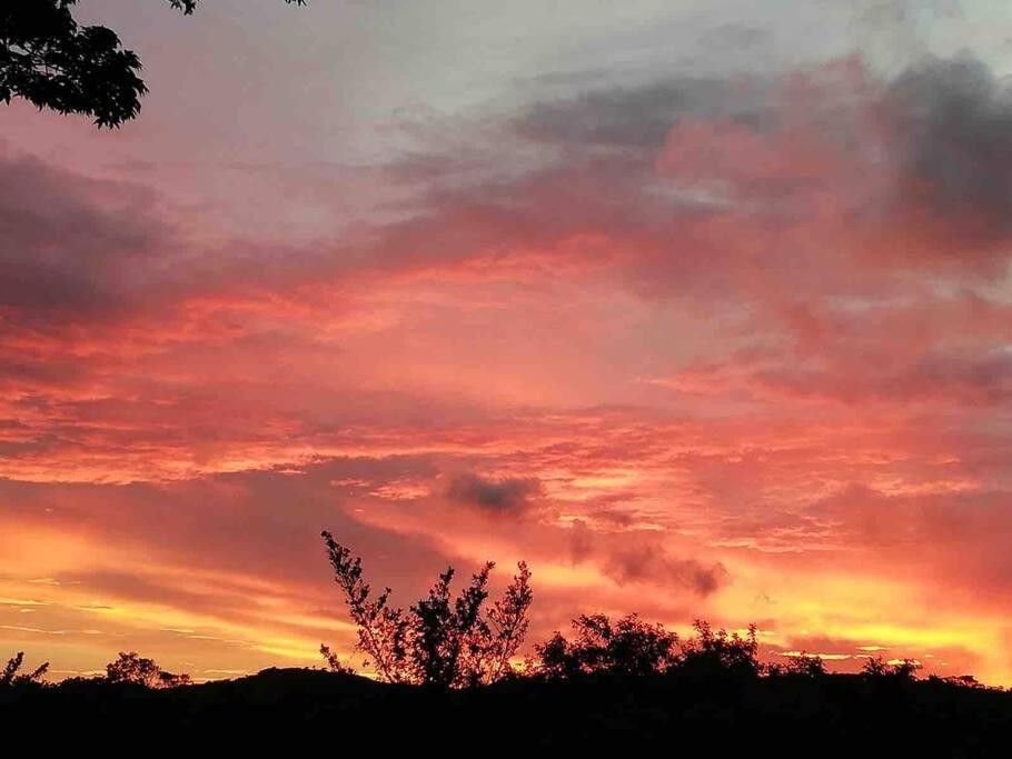 Casa Euphonia Monteverde ภายนอก รูปภาพ